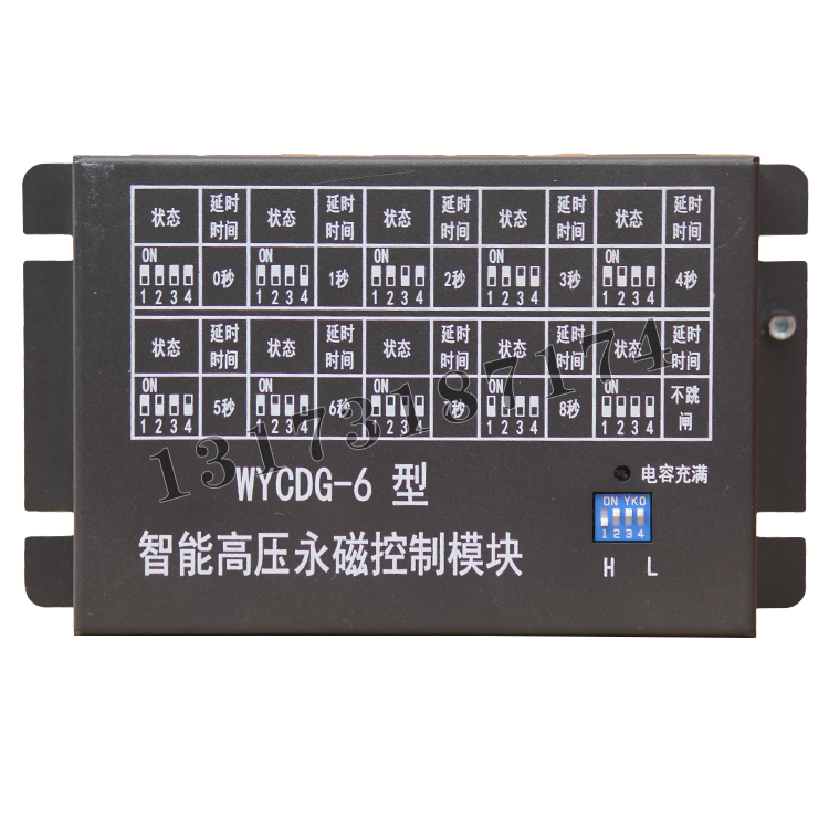 WYCDG-6型智能高壓永磁控制模塊|中國(guó)電光防爆科技股份有限公司