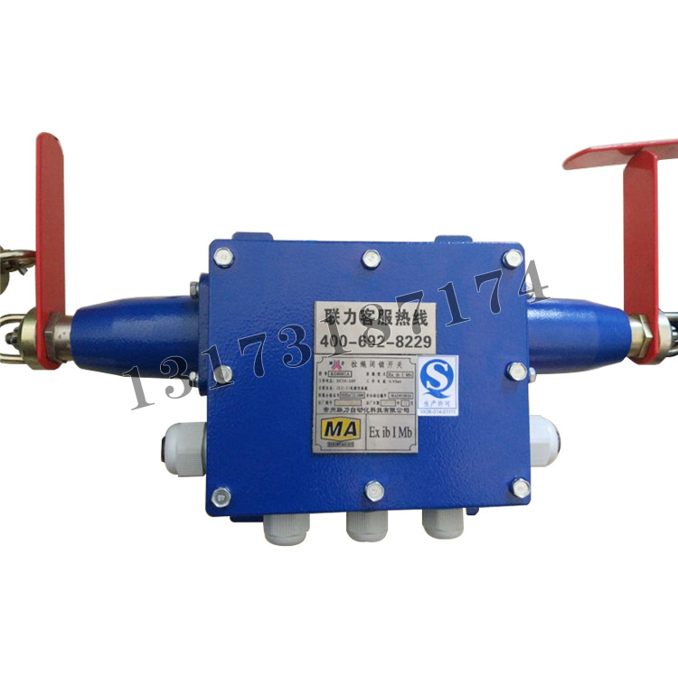 KG9001A-D拉繩閉鎖開關|常州聯力自動化科技有限公司