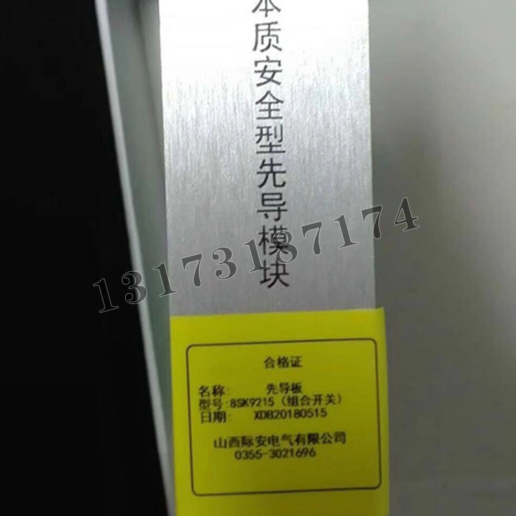 先導板8SK9215本質安全型先導模塊（組合開關）|山西際安電氣有限公司