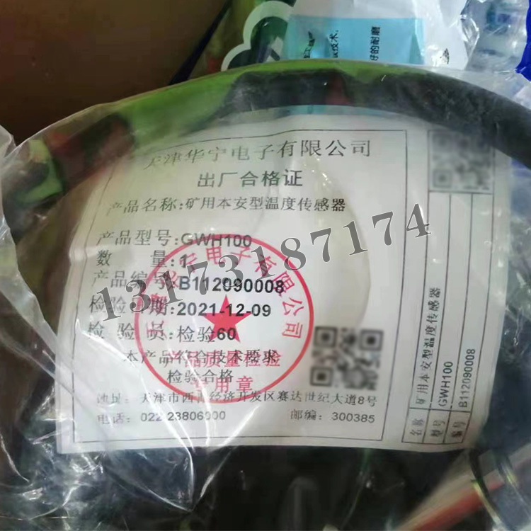 GWH100礦用本安型溫度傳感器|天津華寧電子有限公司