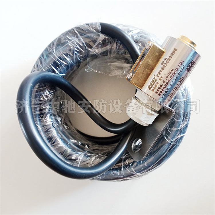 GWM-45-W2礦用本質安全型溫度傳感器|天津華寧電子有限公司