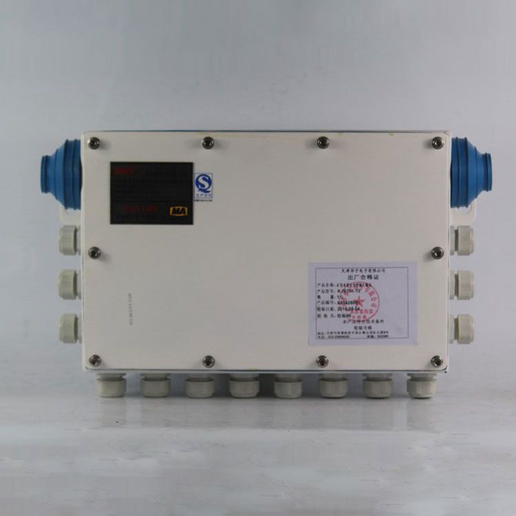 天津華寧電子KJS101-12礦用輸入輸出